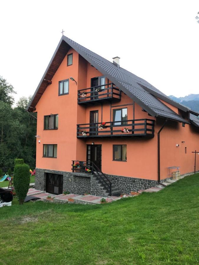 Pensiunea Esenzza Bran  Zewnętrze zdjęcie